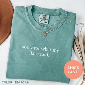 Comfort Colors Sorry For What My Face Said Shirt, Funny Humor Hoodie, Unisex Gift Sweatshirt, Gift for Him or Her, Unisex Top