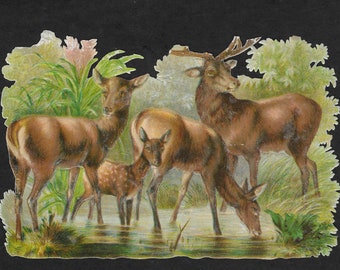 Vintage Antique Die-Cut Embossed Deer Family NOS