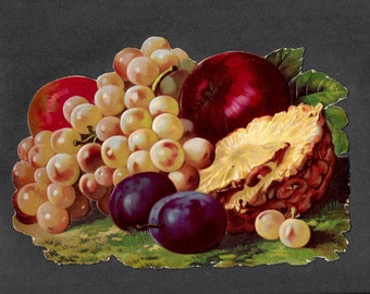 Vintage LARGE Die-Cut Cardboard Fruit Grapes Plums Peach Pineapple Apple