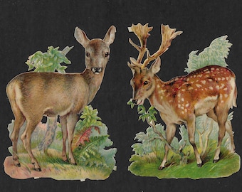 Vintage Antique Die-Cut Embossed 2 Young Deer  NOS