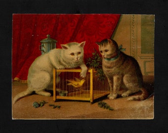 May include: Two cats, one white and one tabby, are looking at a bird in a cage. The white cat is standing on its hind legs, reaching towards the cage. The tabby cat is sitting on the floor, watching the bird. The cage is made of wood and has a yellow bird inside. The background is a red curtain with gold trim.