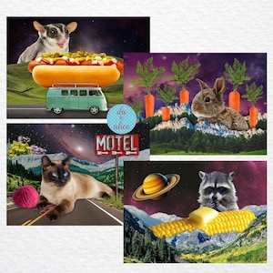 Funny Animal Collage Postcards, Weird Surreal Sci-fi Space Themed Postcards with Cute Animals, Strange & Interesting Postcards for Pen Pals