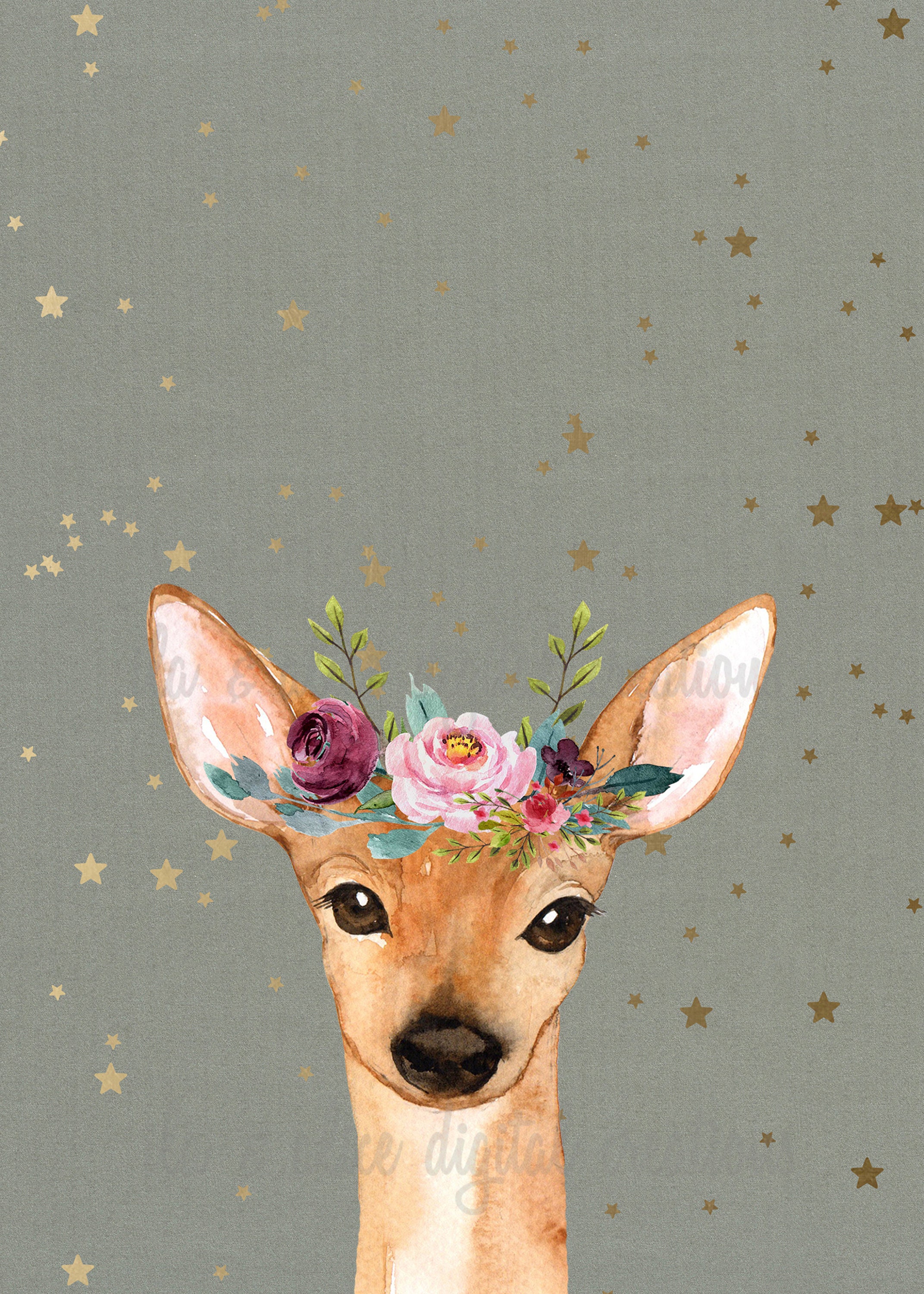 Cute Forest Animal Postcards Woodland Animals Postcards for | Etsy