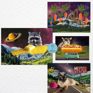 Cartes postales drôles avec collage d'animaux, cartes postales étranges et surréalistes sur le thème de la science-fiction spatiale avec des animaux mignons, cartes postales étranges et intéressantes pour correspondants