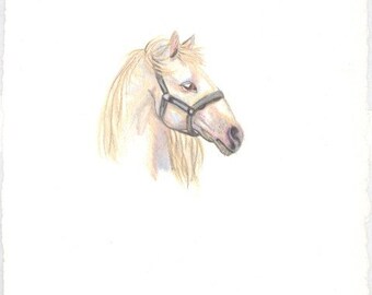 White horse colored pencil drawing ORIGINAL likes apples