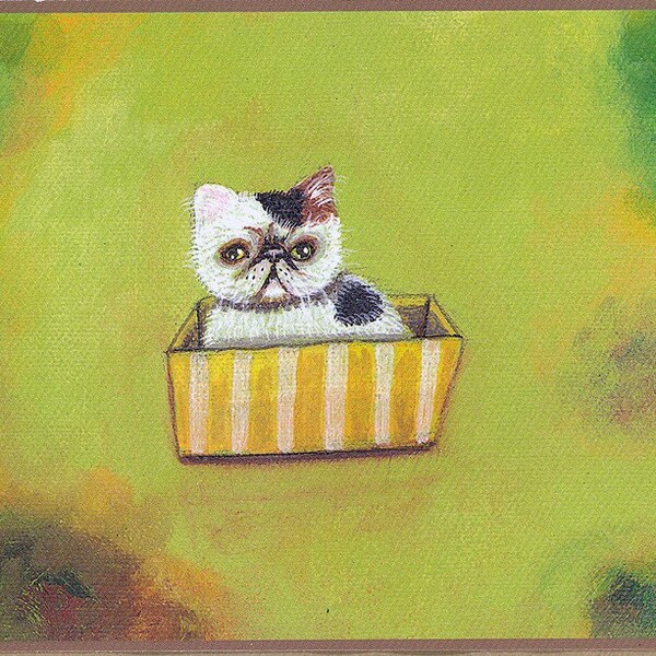 Postcard kitty on a basket olive green calico exotic shorthair persian