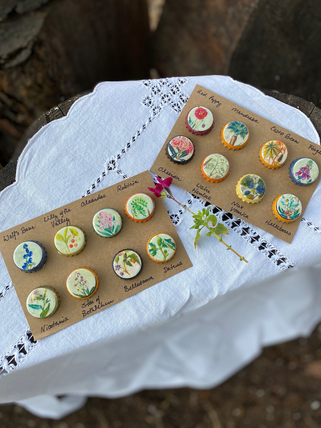 Poison Apothecary Magnets - Etsy