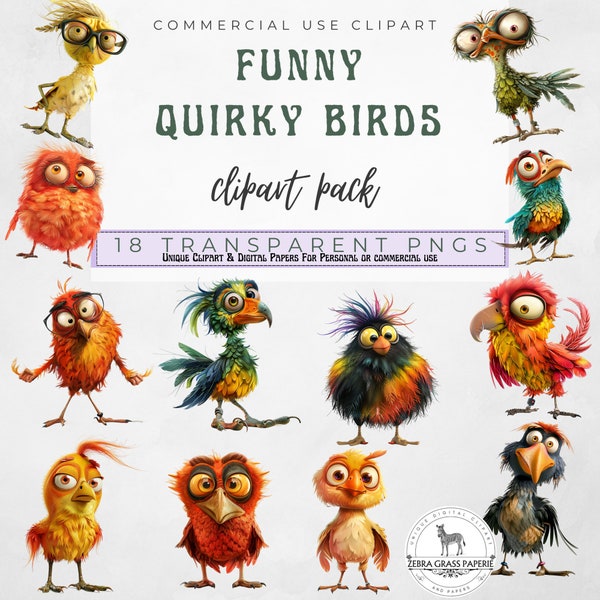 Quirky Bird Clipart, Funny Bird Clip Art, Watercolor Nursery Wallart, Whimsical Sublimation Design PNG, Kid Birthday, Whimsical Animal