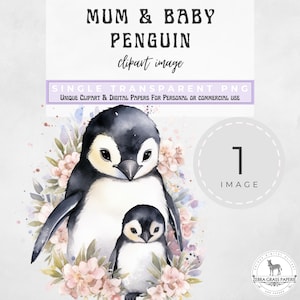 Clipart z pingwinem akwarelowym, clipart z baby shower, nowa dziewczynka w stylu vintage, zaproszenie na ujawnienie płci do wydrukowania, PNG dla dzieci, ogłoszenie o narodzinach