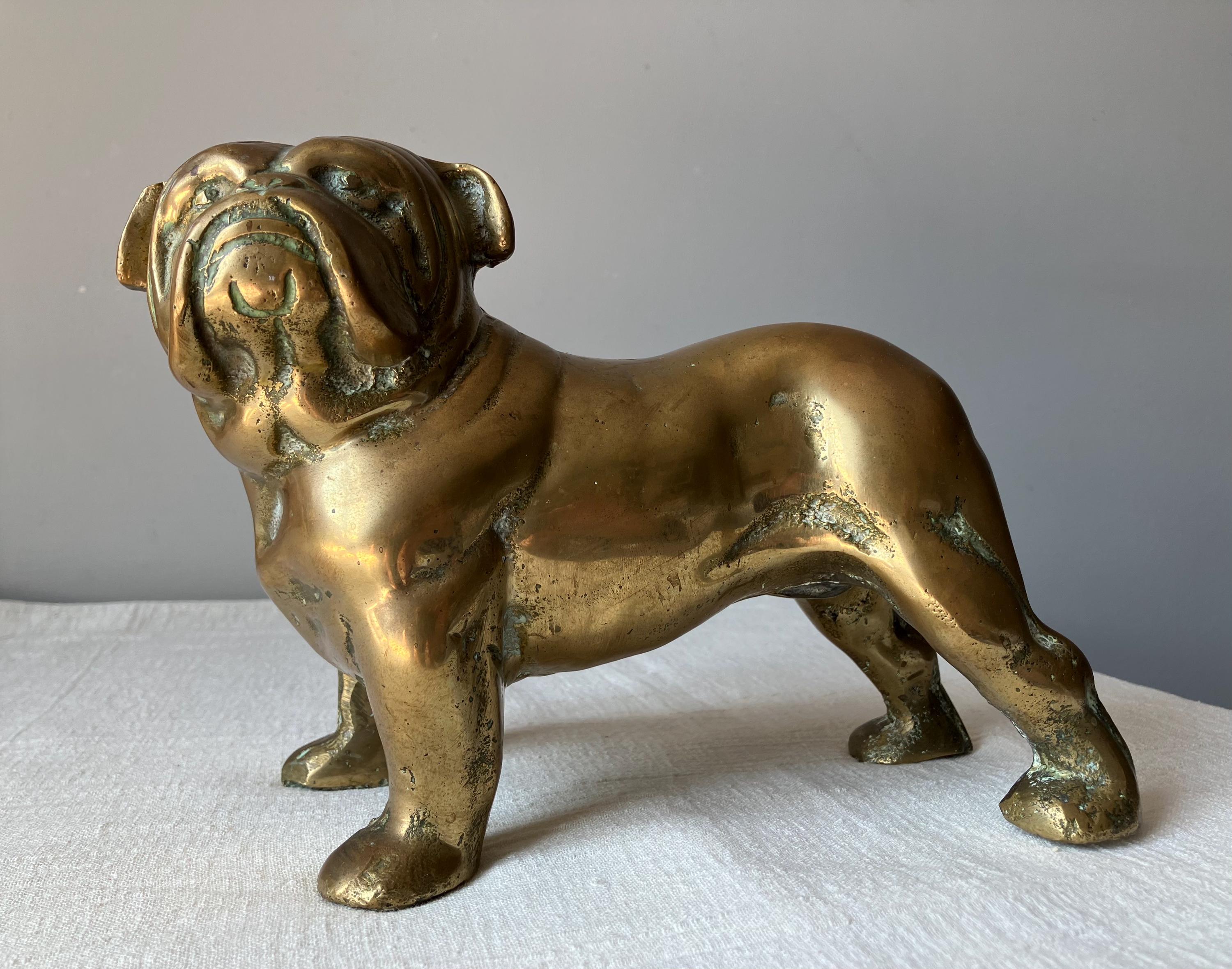 Chalkware Bulldog - Etsy UK