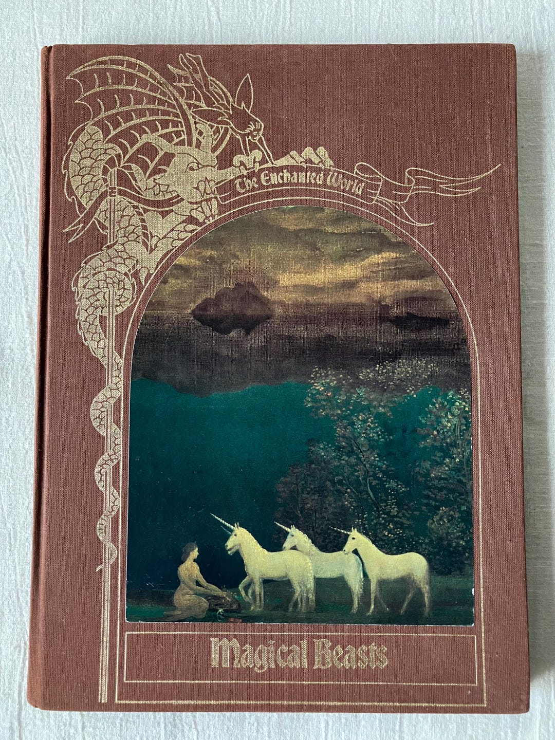 Vintage Magical Beasts Book the Enchanted World Hardback Fantasy ...