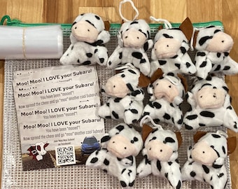 Moo Moo Subaru Starter Pack (Stuffed Animal Cow)