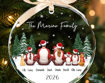 Custom Family Ornament with Pets, Personalized Family Ornament, Christmas Keepsake, Dog Cat Ornament, Christmas Gift 2026, New Family Xmas
