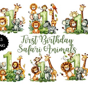 Safari Tiere Clipart | 15 PNG | Erster Geburtstag Thema | Transparenter Hintergrund