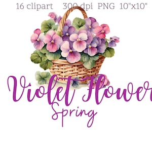 16 elegante violette Blumen– PNG | Pastell Aquarell | Transparenter Hintergrund | Perfekt zum Basteln und DIY-Projekte | 300 dpi