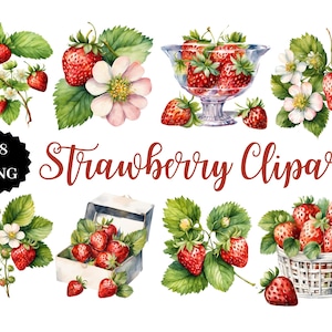 Clipart fraise | 18 images PNG | Fond transparent | Art fruité | Téléchargement numérique | PNG botanique