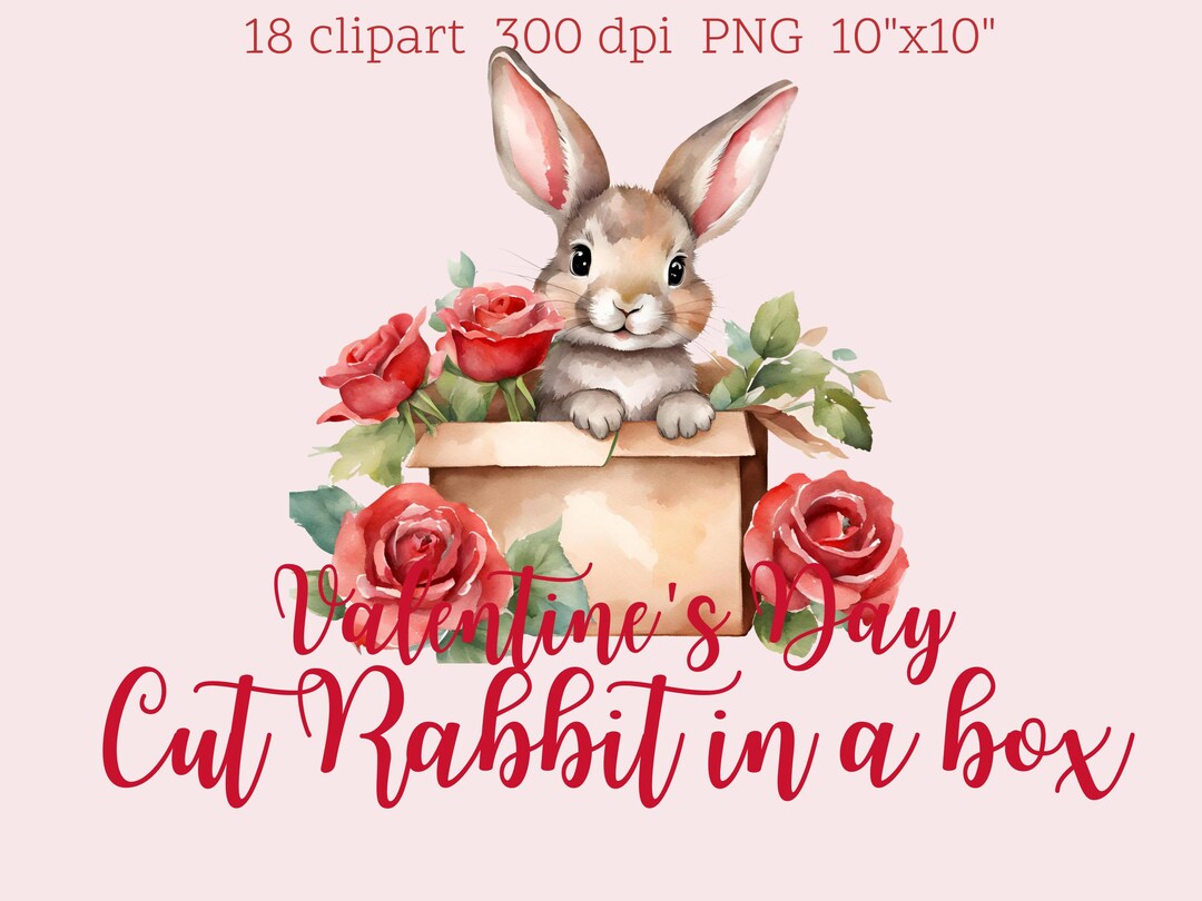 18 Clipart | Valentines Day | Cute Rabbit in Box |PGN Transparent ...