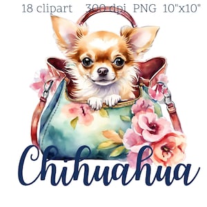 18 Cute Chihuahua Dog Clipart – PNG | Transparent Background | Perfect for Crafting and DIY Projects | 300 dpi