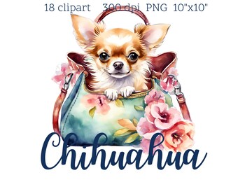 Chihuahua Dog Clipart – 18 PNG Graphics, Transparent Background (Digital Download)
