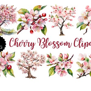 Clipart fleur de cerisier | 18 images PNG | Fond transparent | Art floral | Téléchargement numérique | Sakura PNG