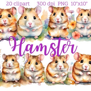 Hamster Clipart | 20 PNG Files | Transparent Background | Digital Download | Cute Pet Illustration300 dpi