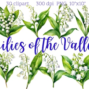 Clipart muguet | 30 PNG | Art floral aquarelle | Fleurs de printemps | Téléchargement numérique