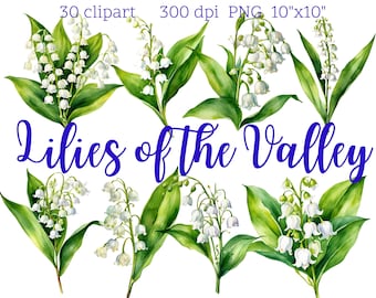 Lirio de los valles Clipart / 30 PNG / Arte floral en acuarela / Flores de primavera / Descarga digital