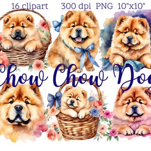 Chow Chow Clipart | 16 PNG Files | Transparent Background | Digital Download | Dog Art Illustration