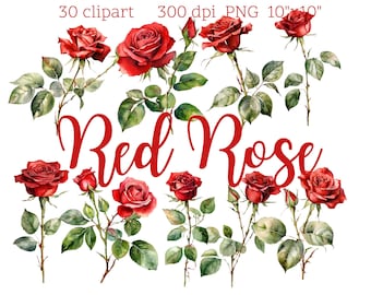 Descarga digital de rosa roja / 30 imágenes prediseñadas PNG / Fondo transparente / Impresión de arte floral / 300 dpi