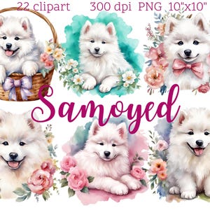 Samoyed Dog Clipart | 22 PNG Files | Cute Fluffy Dog | Digital Download | Transparent Background