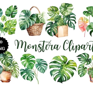 Clipart Monstera | 20 images PNG | Fond transparent | Art tropical | Téléchargement numérique | PNG botanique
