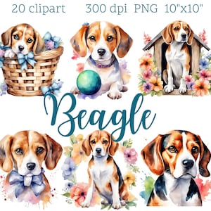 Beagle Dog Clipart | 20 PNG Images | Transparent Background | Cute Puppy Art | Digital Download | Dog Lover Graphics
