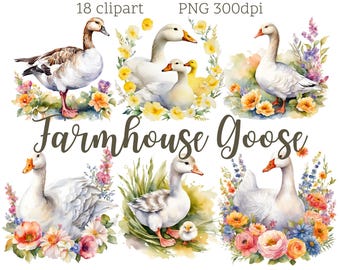 Farmhouse Goose Clipart: Vintage Country PNG Illustrations (18 PNG) (Digital Download)