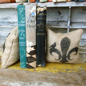 Fleur de lis with Bird- Petit Feed Sack Pillow Pair - Unique paper weight, bookends, pin cushion, etc