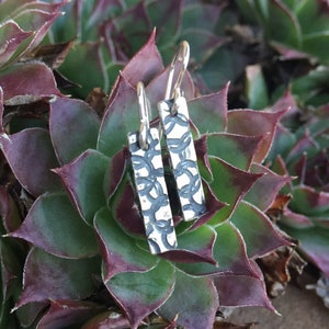 May include: A pair of silver earrings with a textured, geometric design. The earrings are hanging from a green succulent plant.