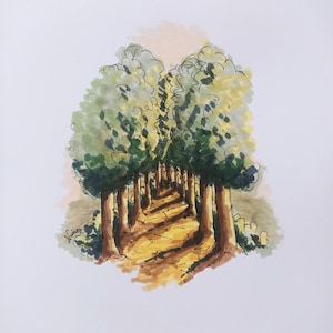 Illustrazione fatta a mano - Viale alberato
