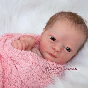 Reborn Baby Ashley, Newborn Baby Girl, Reborn Baby Boy, Custom