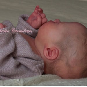 May include: A close-up of a sleeping baby doll with realistic features, wearing a soft, light pink knitted sweater. The doll has a delicate, lifelike appearance.