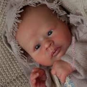 May include: A realistic baby doll with blue eyes, a light pink and white outfit, and a soft, fuzzy hooded blanket.