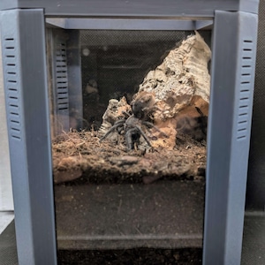 Fossorial Tarantula Enclosure – 3D Printed Acrylic Habitat for Jumping Spiders & Tarantulas