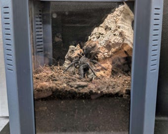 Fossorial Tarantula Enclosure – 3D Printed Acrylic Habitat for Jumping Spiders & Tarantulas