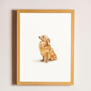 Puede incluir: Pintura a la acuarela de un perro pequeño, marrón claro, con pelo largo, sentado y mirando hacia arriba. La obra de arte está enmarcada en un marco de madera marrón claro, sobre un fondo blanco.