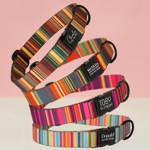 May include: Four colorful striped dog collars with personalized metal tags. The collars are stacked on top of each other. The tags have the names "Charlie", "Matilda", "Toby", and "Donald" with contact information.