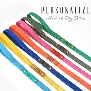 Può includere: Un set di sette collari per cani colorati con targhette in pelle personalizzate. I collari sono realizzati in tessuto resistente e intrecciato e sono disponibili in una varietà di colori, tra cui blu, giallo, arancione, rosa e verde. Ogni collare ha una targhetta in pelle con il nome del cane e informazioni opzionali, come il numero di telefono o l'indirizzo.