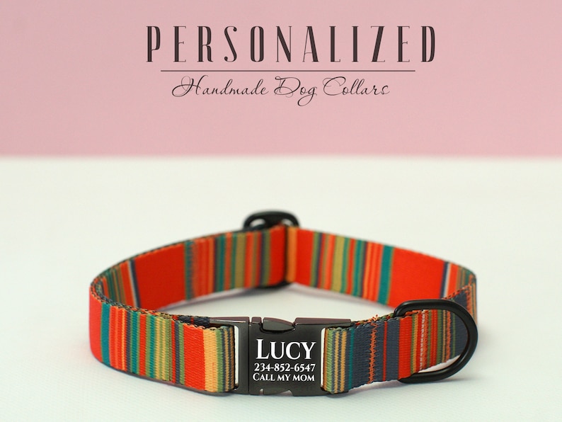 K&ouml;nnte beinhalten: Ein rot-gr&uuml;n-blaues gestreiftes Hundehalsband mit einer schwarzen Metallschnalle und einem personalisierten Anh&auml;nger mit der Aufschrift "LUCY 234-852-6547 CALL MY MOM".