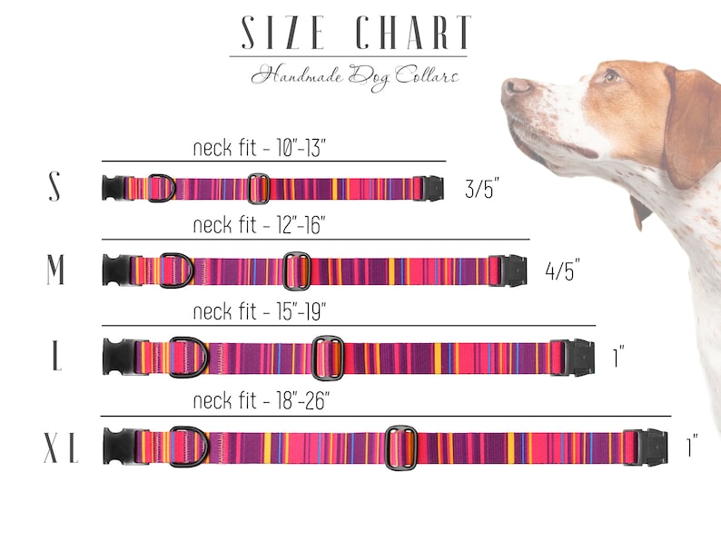 K&ouml;nnte beinhalten: Gr&ouml;&szlig;entabelle f&uuml;r handgefertigte Hundehalsb&auml;nder in verschiedenen Gr&ouml;&szlig;en, mit Halsumfangsma&szlig;en in Zoll. Die Tabelle zeigt ein rosa, lila und gelbes gestreiftes Halsband mit einer schwarzen Schnalle. Die Tabelle enth&auml;lt auch einen Hunde-Kopf im Hintergrund.