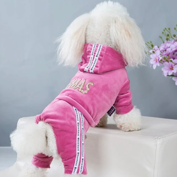 Sporty velvet onsie tracksuit for cat/dog pet clothing. Rare find. Animal accessories.