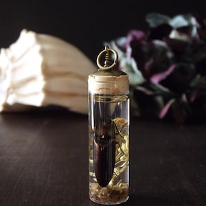 Click Beetle Pendant