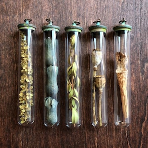 Botanical Vial Pendant (Dry)