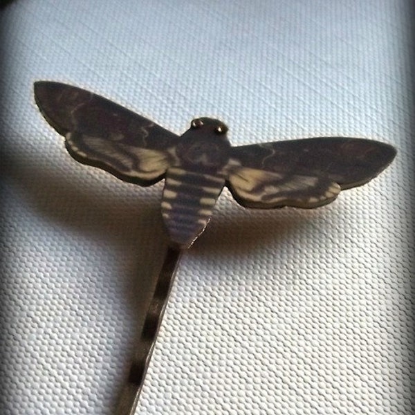 Death's Head Moth Hair Pin